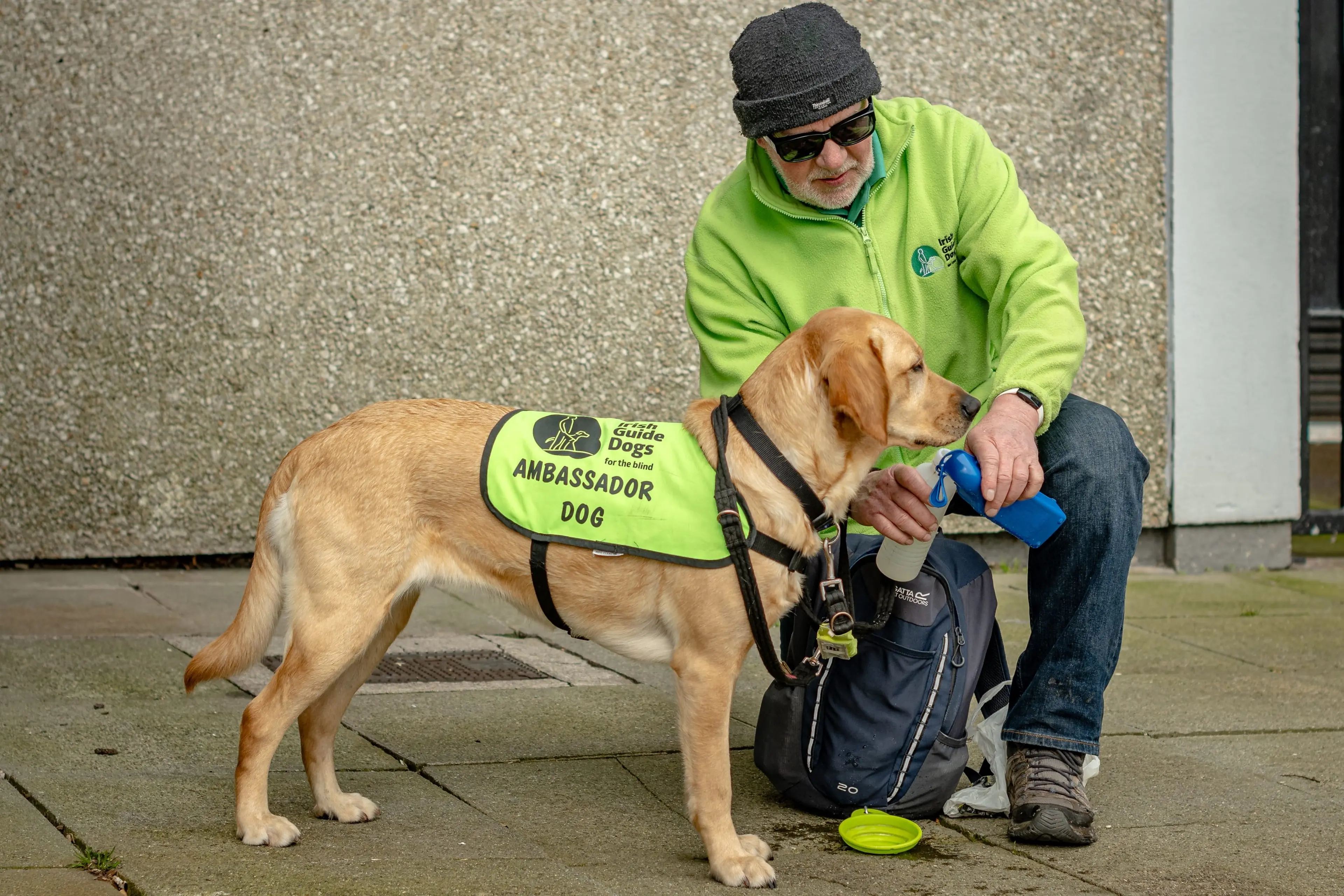 A man in a bright green jacket crouches beside a yellow Labrador Retriever wearing a yellow "Guide Dogs for the Blind Ambassador Dog" vest, with the handler holding a blue water bo