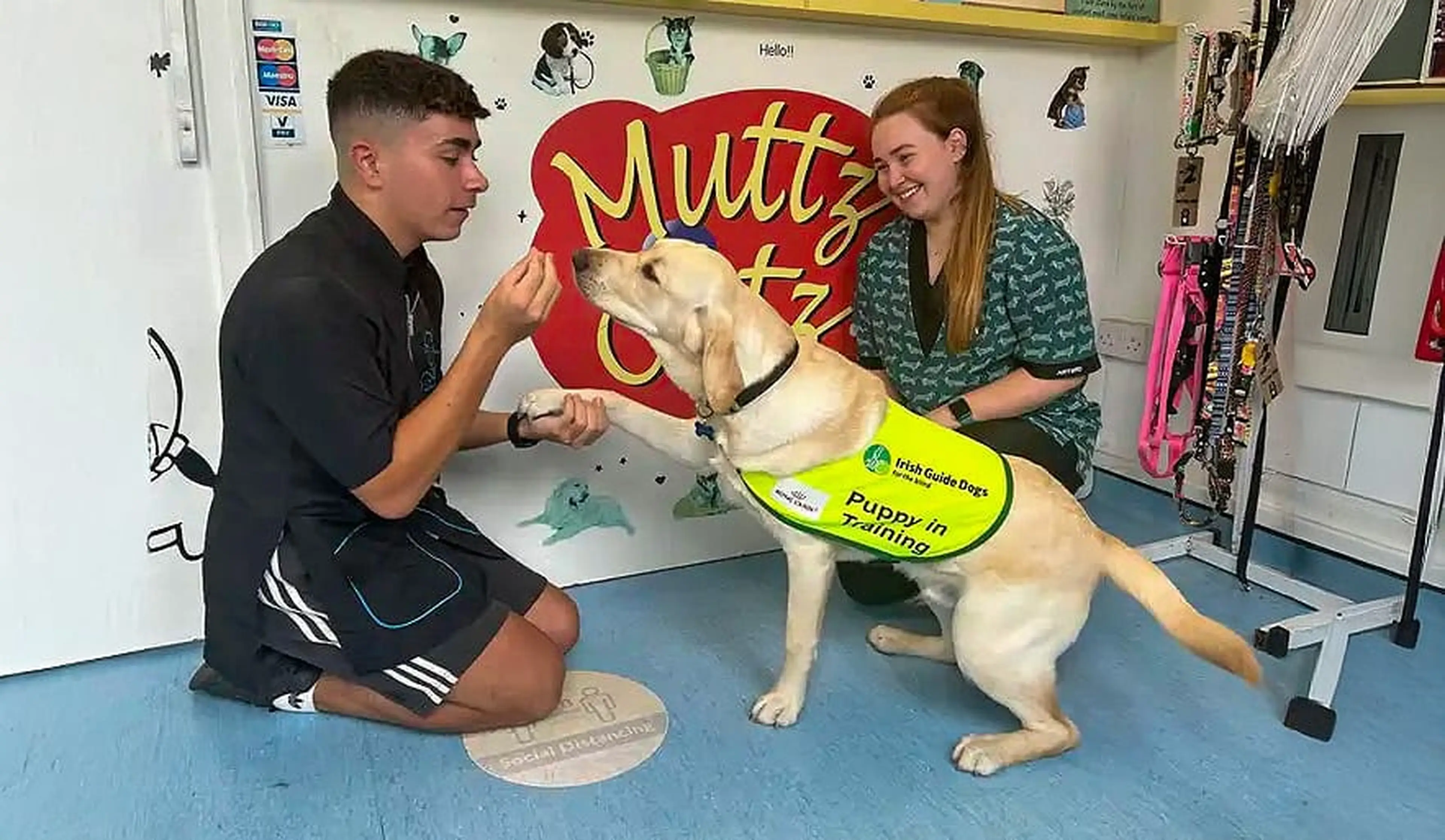 Two young people kneel on a blue floor while interacting with a yellow Labrador Retriever wearing a green "Puppy in Training" vest in what appears to be a school or community cente